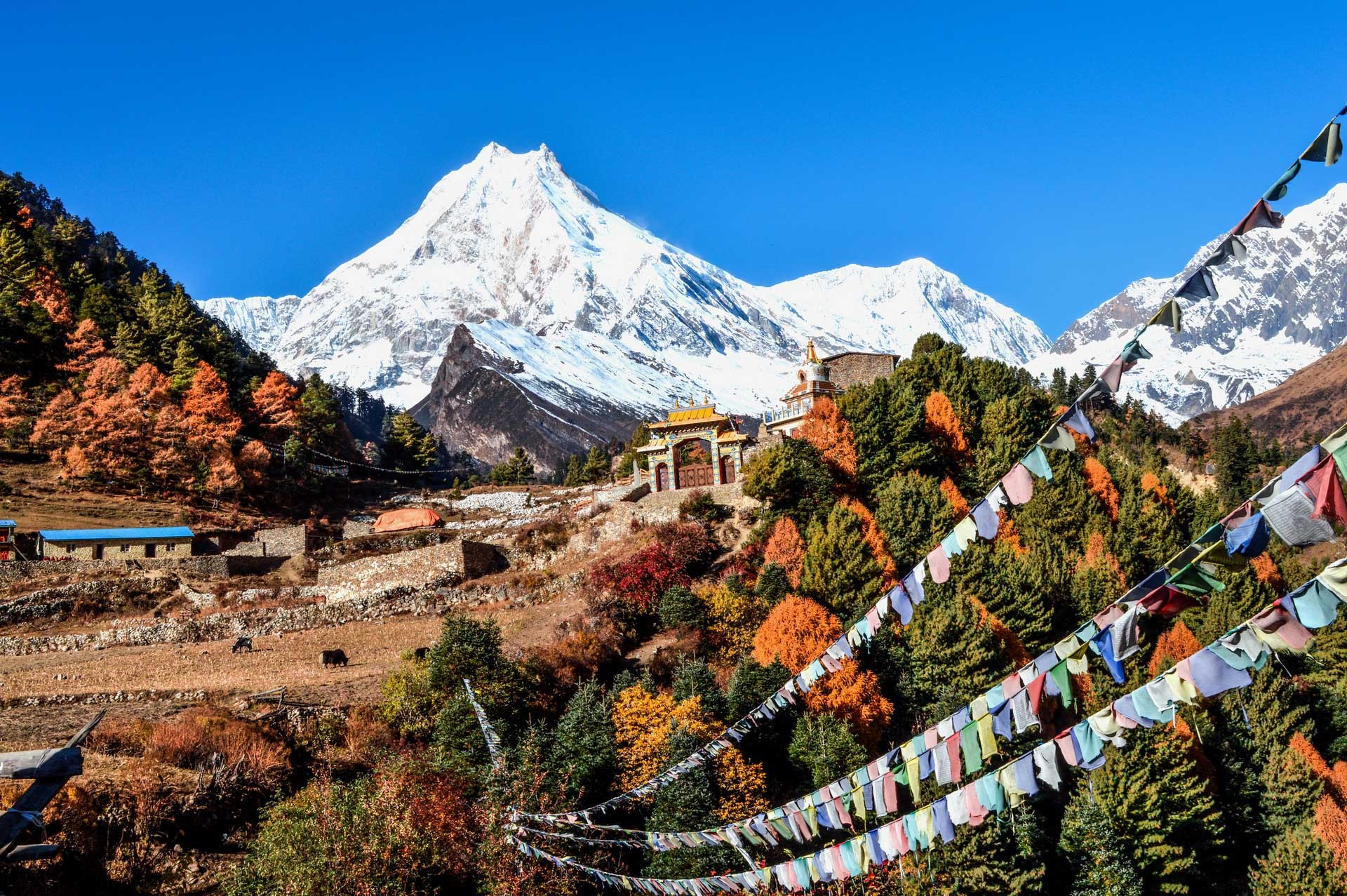 The Ultimate Luxury Trekking Experience in the Manaslu Circuit