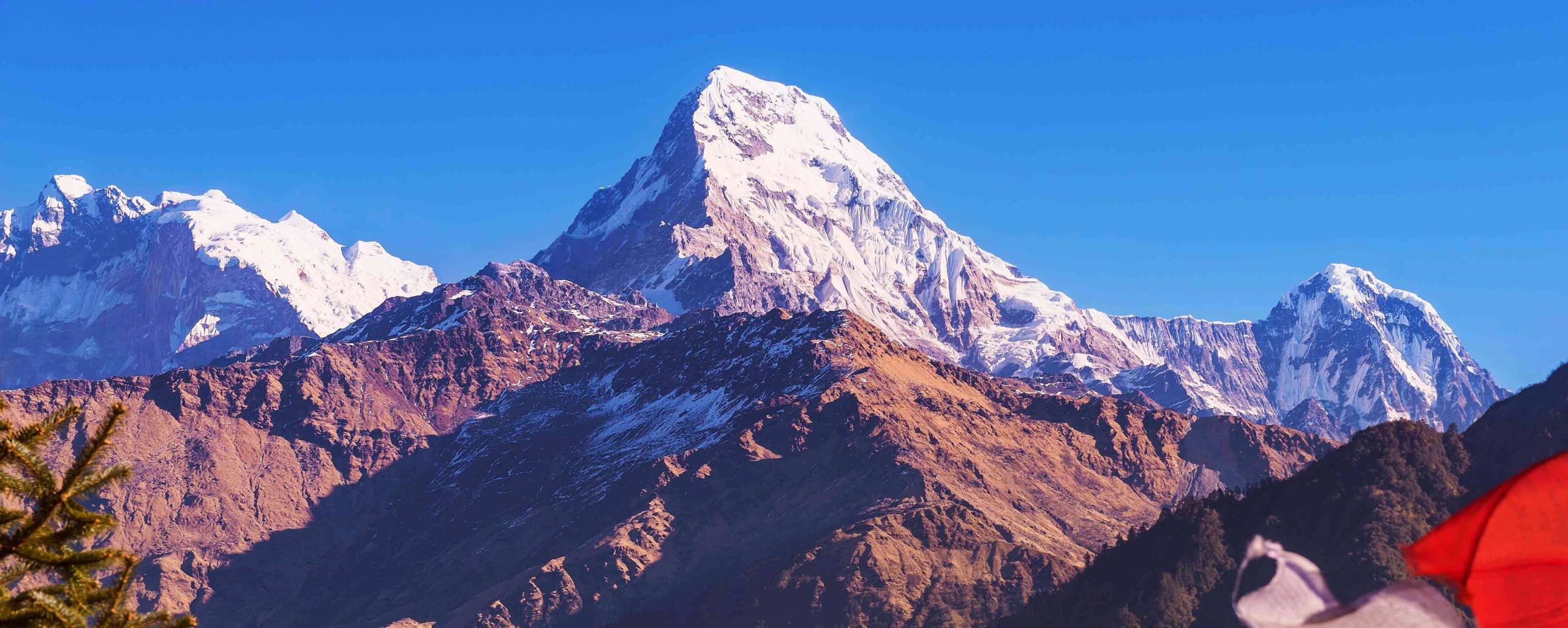 Khopra Danda Trek Through Gorepani