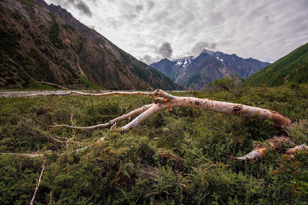 Inner Dolpo Circuit Trek - 24 Days