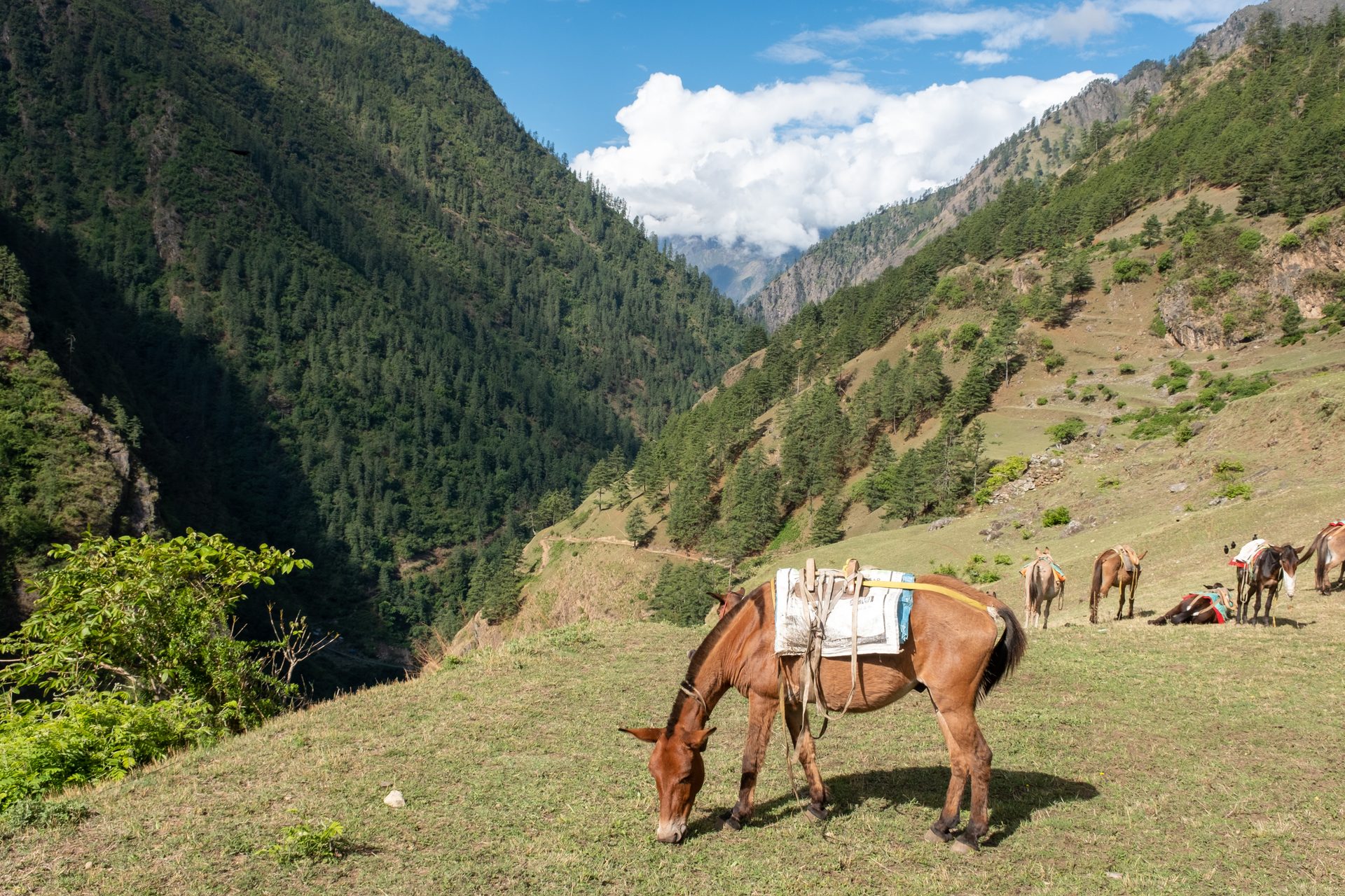 Tsum Valley Classical Trek - 12 Days
