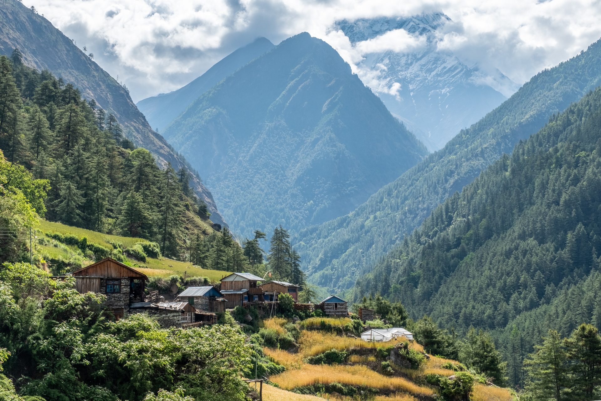 Classical Whole Tsum Valley Trek - 18 Days