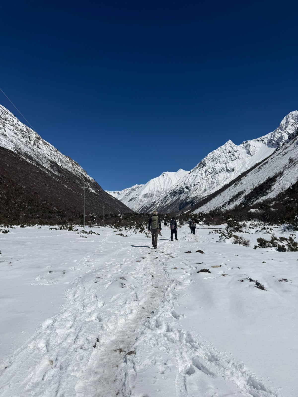 Snowy Trails