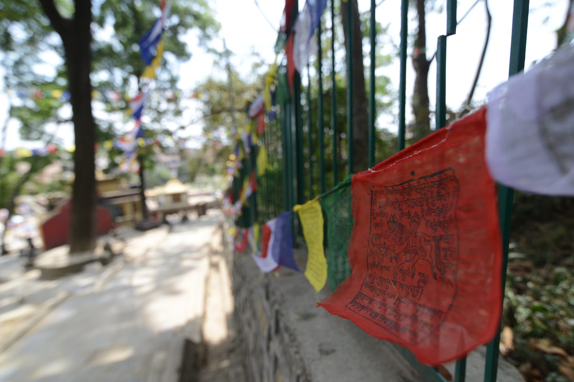 Prayer flags carry blessings on the wind. — The Villages of Upper Mustang: A Field Guide to Lo Tsho Dyun