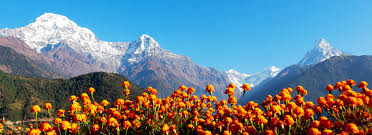 Ghorepani-Poon Hill: Lesser-Known Short Treks in Nepal