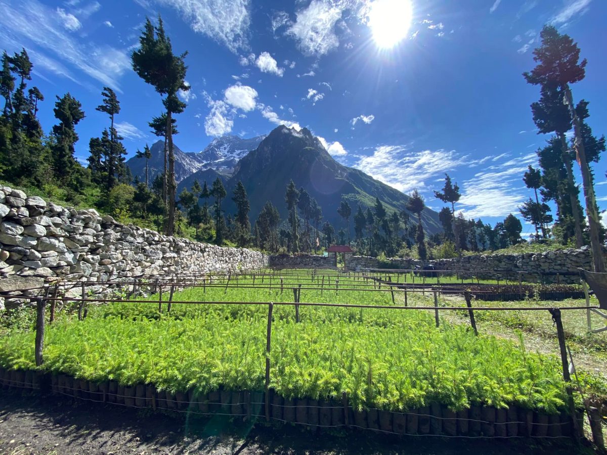 Building Climate Resilience in the Manaslu Region: Reforestation, Women’s Leadership, and Sustainable Livelihoods